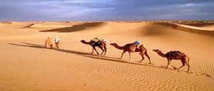 deserto-caravanadef-300x128